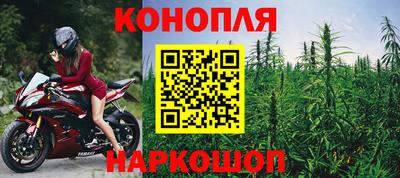 дживик Будённовск