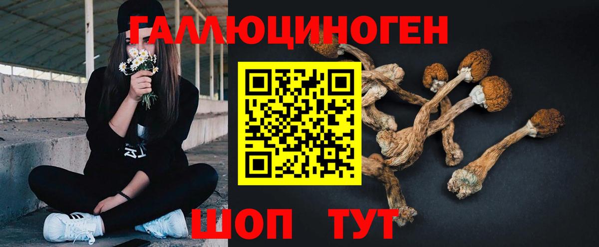 Галлюциногенные грибы Psilocybe  Галлюциногенные грибы MAGIC MUSHROOMS  где продают   Вход с VPN  Узловая 